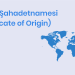 Menşe Şahadetnamesi (Certificate of Origin)